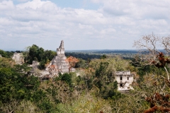 Tikal