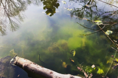 74F52AA1-3E67-4CF3-BFC4-BC4D4914AFED