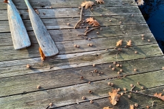 Upstate