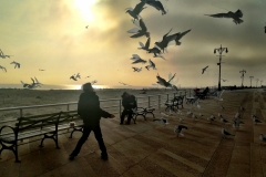 Brighton Beach
