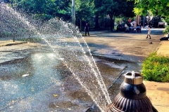 Brooklyn