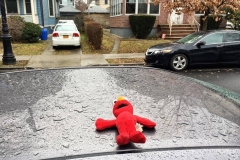 Lost Elmo