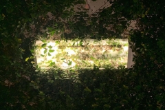 Florida